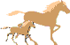 Cheval equitation poney